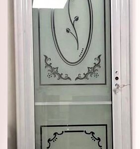 Bathroom Glass Door-ZDT111